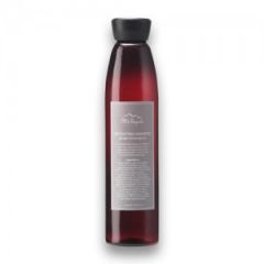 Haarwaschmittel Ingwer-Lemongrass, Detoxifying Shampoo Ginger-Lemongrass (Detox) 220ml